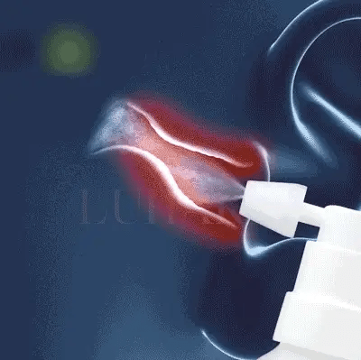 Spray Auriculaire Confort &amp; Apaisement